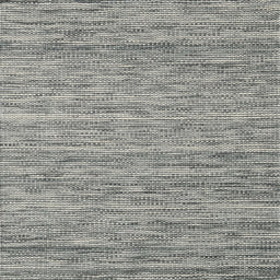 Sideview of Machine Washable Contemporary Carbon Gray Rug, wshcon2759