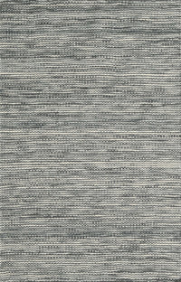 Machine Washable Contemporary Carbon Gray Rug, wshcon2759