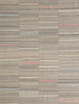 Contemporary Tan Brown Modern Rug, con2765