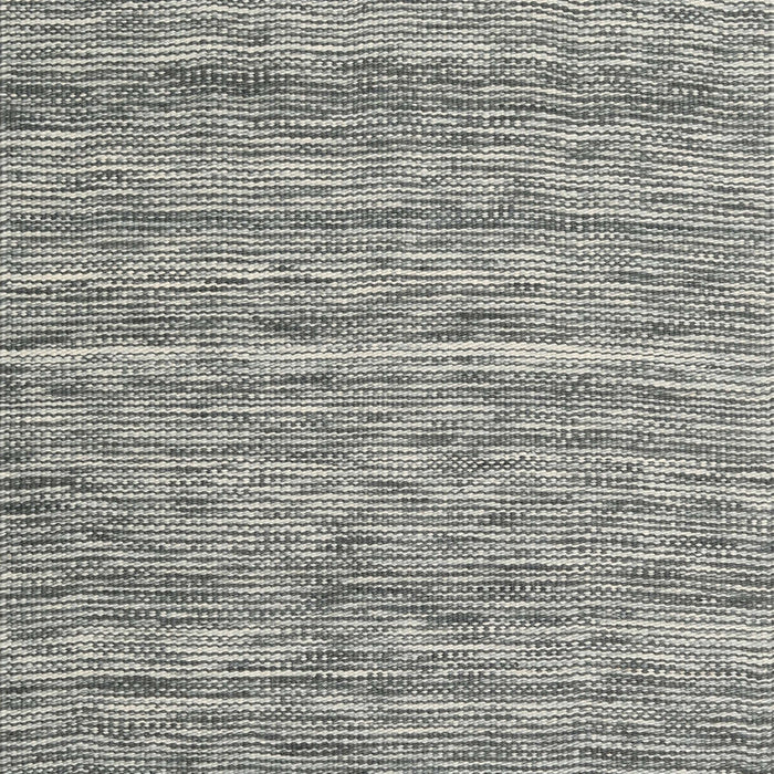 Machine Washable Contemporary Carbon Gray Rug, wshcon2766