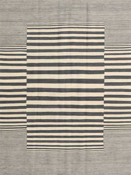 Contemporary Ash Gray Modern Rug, con2770