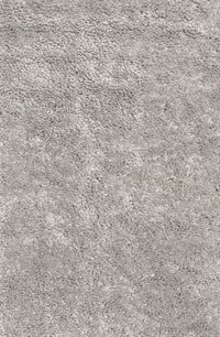 Machine Washable Contemporary Pale Silver Gray Rug, wshcon2772