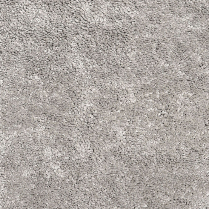 Machine Washable Contemporary Pale Silver Gray Rug, wshcon2772