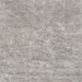 Sideview of Machine Washable Contemporary Pale Silver Gray Rug, wshcon2772