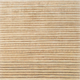Square Contemporary Brown Gold Solid Rug, con277