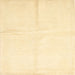 Sideview of Machine Washable Contemporary Sun Yellow Rug, wshcon2855