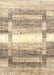 Contemporary Brown Gold Modern Rug, con2861