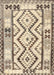 Contemporary Dark Almond Brown Southwestern Rug, con2920