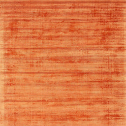 Sideview of Machine Washable Contemporary Orange Red Rug, wshcon2943