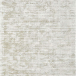 Sideview of Machine Washable Contemporary Pale Silver Gray Rug, wshcon2945