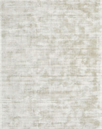 Machine Washable Contemporary Pale Silver Gray Rug, wshcon2945