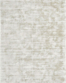 Machine Washable Contemporary Pale Silver Gray Rug, wshcon2945