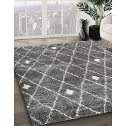 Machine Washable Contemporary Dark Gray Rug in a Family Room, wshcon2987