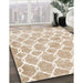 Contemporary Wheat Beige Trellis Rug in Family Room, con2988