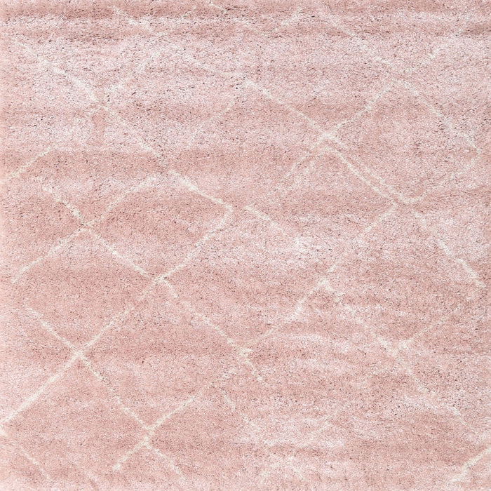 Square Contemporary Daisy Pink Trellis Rug, con2989