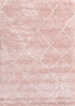 Contemporary Daisy Pink Trellis Rug, con2989