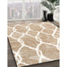 Contemporary Wheat Beige Trellis Rug in Family Room, con2994