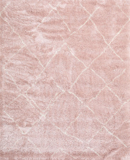 Contemporary Daisy Pink Trellis Rug, con2997