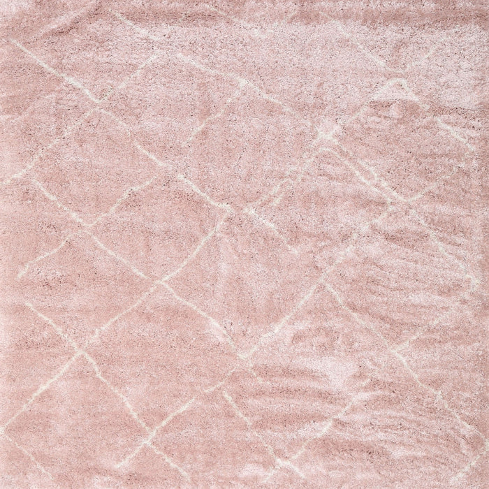 Square Contemporary Daisy Pink Trellis Rug, con2997