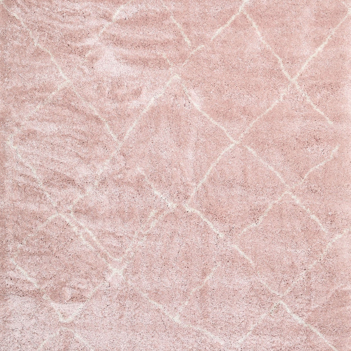 Machine Washable Contemporary Pink Daisy Pink Rug, wshcon2997