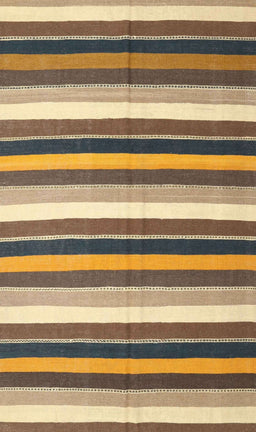 Contemporary Reddish Brown Modern Rug, con3005