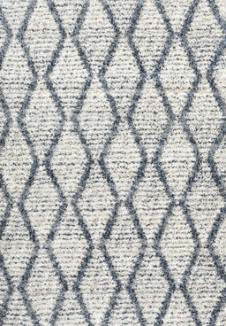 Contemporary Silver Gray Trellis Rug, con3020