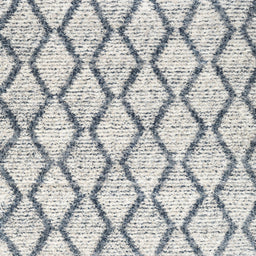 Square Contemporary Silver Gray Trellis Rug, con3020