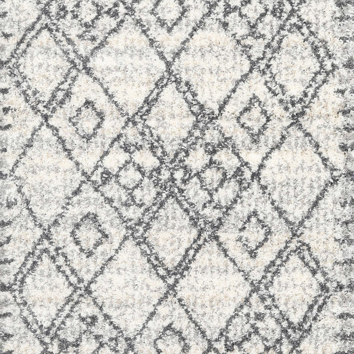 Machine Washable Contemporary Dark Gray Rug, wshcon3025