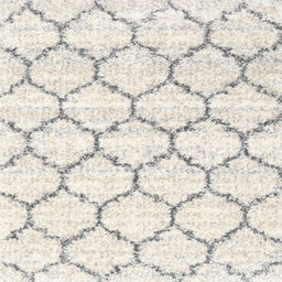 Sideview of Machine Washable Contemporary Antique White Beige Rug, wshcon3029