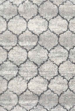Contemporary Dark White Beige Trellis Rug, con3032