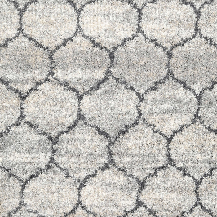Contemporary Dark White Beige Trellis Rug, con3032