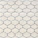 Square Contemporary Pale Silver Gray Trellis Rug, con3039