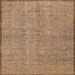 Sideview of Machine Washable Contemporary Mahogany Brown Rug, wshcon304