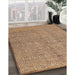 Contemporary Mahogany Brown Modern Rug in Family Room, con304