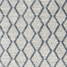 Square Contemporary Silver Gray Trellis Rug, con3055