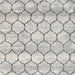 Square Contemporary Dark White Beige Trellis Rug, con3059