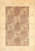 Contemporary Sand Brown Modern Rug, con305