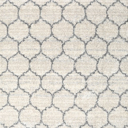 Square Contemporary Antique White Beige Trellis Rug, con3060