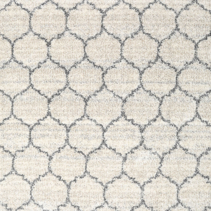 Square Contemporary Antique White Beige Trellis Rug, con3060
