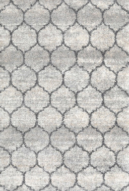 Contemporary Dark Gray Trellis Rug, con3065