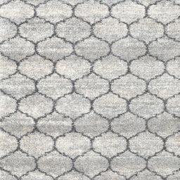 Square Contemporary Dark Gray Trellis Rug, con3065