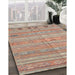 Contemporary Rust Pink Southwestern Rug in Family Room, con3070