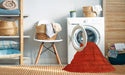 Machine Washable Contemporary Red Rug in a Washing Machine, wshcon30