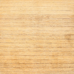 Sideview of Machine Washable Contemporary Orange Rug, wshcon313