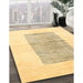 Contemporary Metallic Gold Solid Rug in Family Room, con325