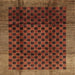 Square Contemporary Saffron Red Modern Rug, con347