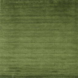 Sideview of Machine Washable Contemporary Seaweed Green Rug, wshcon35