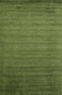 Machine Washable Contemporary Seaweed Green Rug, wshcon35