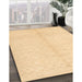 Machine Washable Contemporary Brown Gold Rug in a Family Room, wshcon377