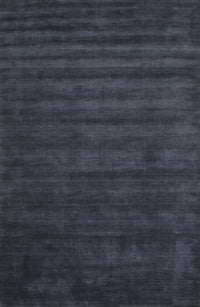 Machine Washable Contemporary Dark Slate Blue Rug, wshcon37